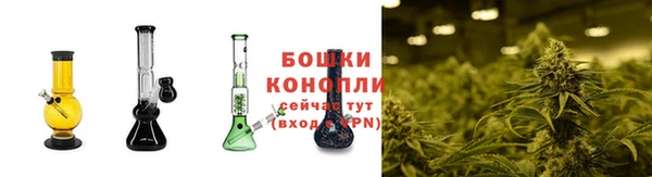 ECSTASY Армянск