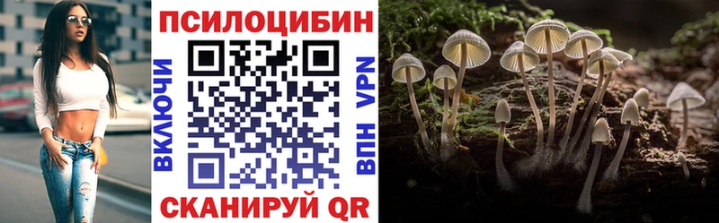 закладки  площадка клад  Галлюциногенные грибы прущие грибы  Таруса 